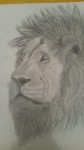 Le roi de la Jungle