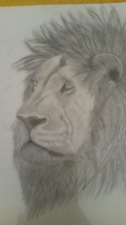 Le roi de la Jungle